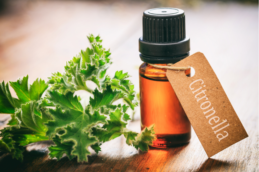 Eterisk citronellaolja – en naturlig ingrediens med citronellol som används i aromaterapi och hemvård.