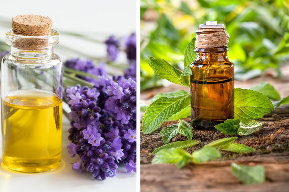 Aromadiffusor med ångor bland torkade örter och eteriska oljor