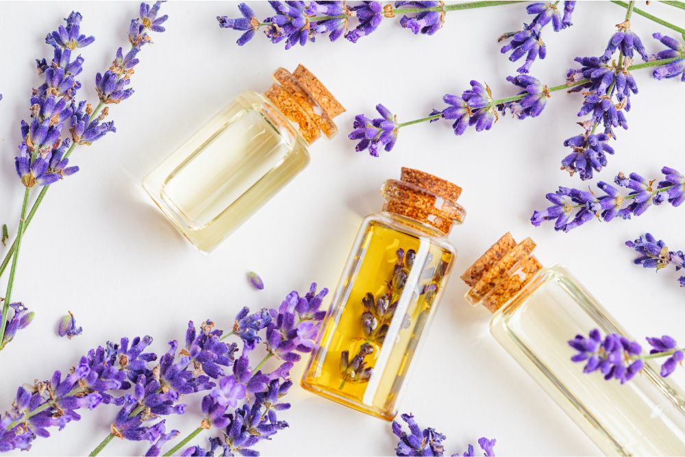 Eterisk lavendelolja i mörk flaska med färsk lavendel - naturlig aromaterapi