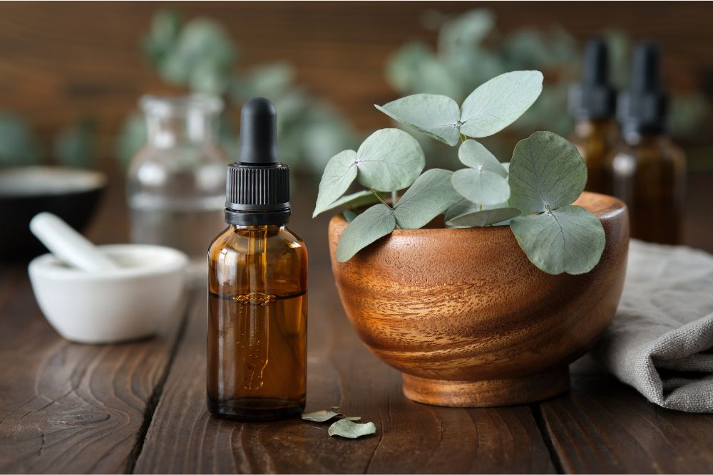 Eukalyptusgrenar med en flaska eukalyptusolja för aromaterapi