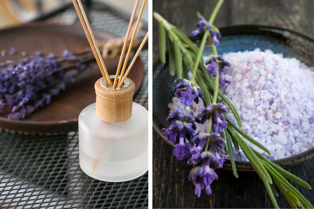Lavendelblommor och eterisk olja för aromaterapi hemma och hudvård