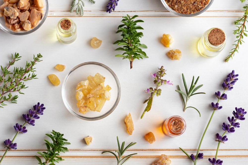 Flaskor med eteriska oljor omgivna av färska örter och blommor för aromaterapi