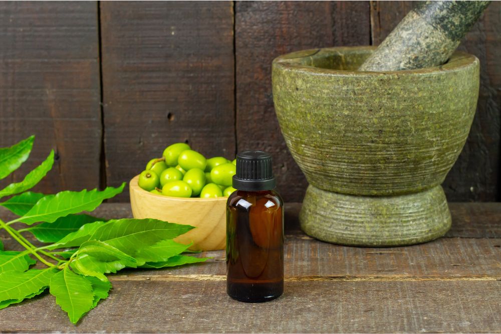 Ayurvediska eteriska oljor med örter på träunderlag